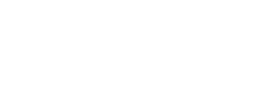 Pine Tree Palace — pine cabin vacation rental in Bastrop, Texas